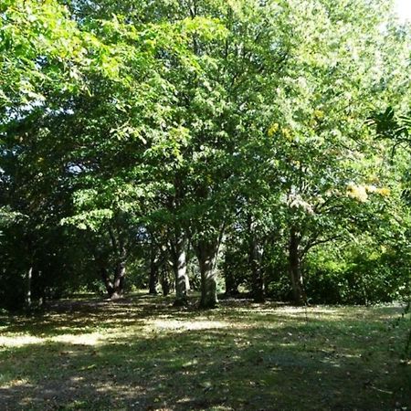 Bois Logis Villa Blere Bagian luar foto