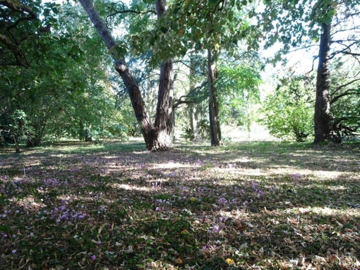 Bois Logis Villa Blere Bagian luar foto